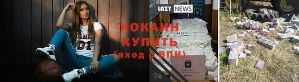 дживик Семикаракорск